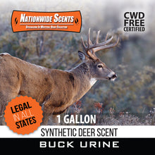 Load image into Gallery viewer, Nationwide - Buck Urine - Synthetic