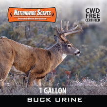 Load image into Gallery viewer, CWD Free Buck Urine
