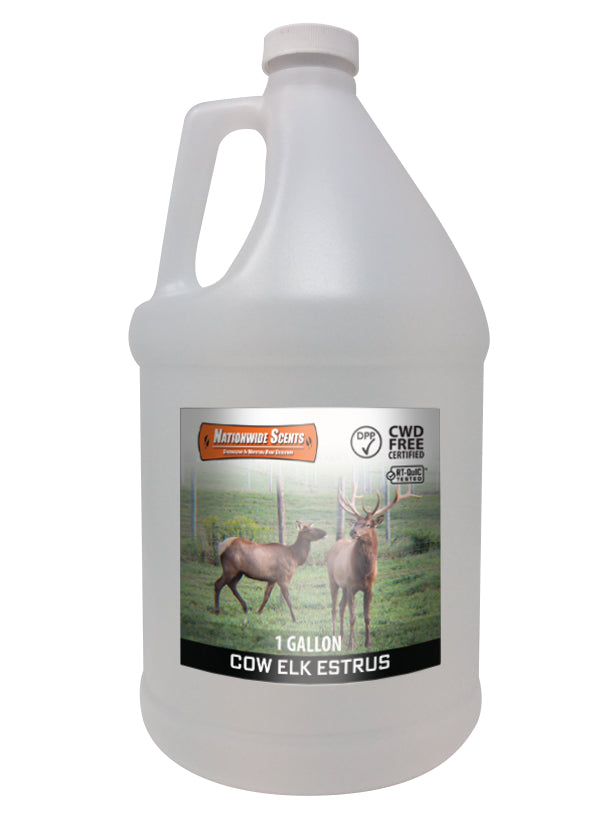 Cow Elk Estrus
